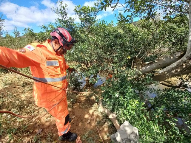 Santana do Manhuau - Bombeiros recuperam cadver encontrado em rvore