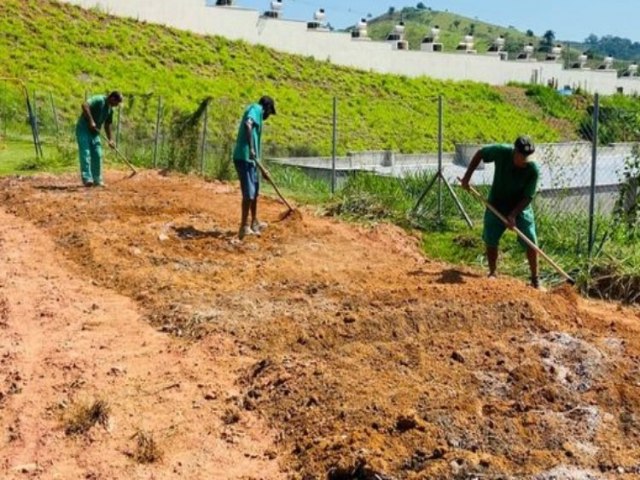 Penitenciria de Muria transforma detentos em agricultores: 1,4 Mil mudas abastecem horta comunitria em escola municipal