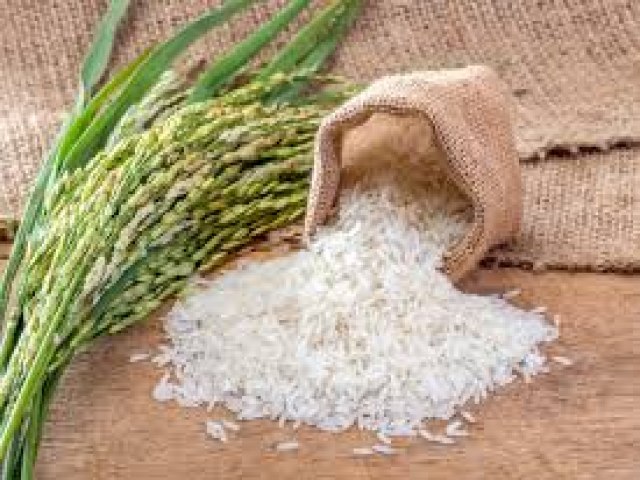 Preo do arroz poder sofrer alteraes com as chuvas no RS