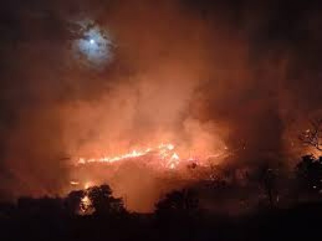 Leopoldina-MG: Incndio de grandes propores atinge vegetao