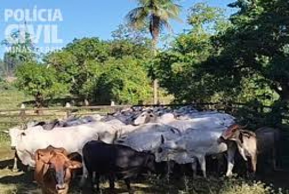 Ub�-MG: PCMG prende suspeitos por lavagem de dinheiro e tr�fico de drogas