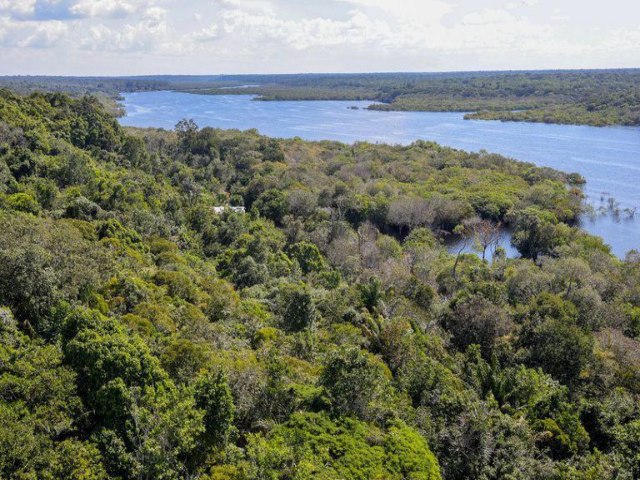 Dia Mundial do Meio Ambiente: Governo do Brasil ressalta avan�os conquistados desde 2023
