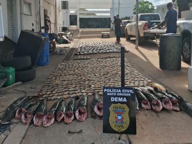 Pol�cia Civil apreende mais de 900 quilos de pescado irregular e desarticula esquema de pesca predat�ria em Cuiab�