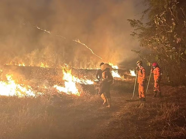 Irmos morrem carbonizados ao tentar combater incndio em MG