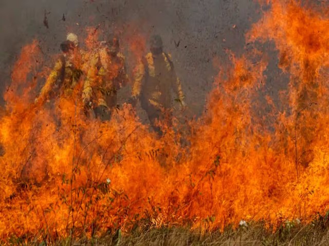 rea atingida pelo incndio no Parque Nacional  de 2 mil hectares, diz ICMBio