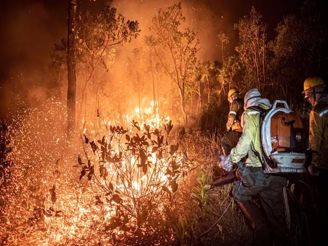 Polcia Federal abre 85 inquritos para investigar incndios florestais criminosos