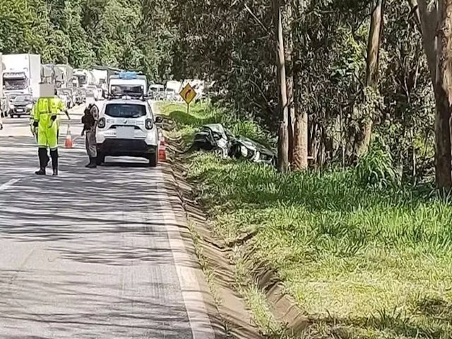 Filha morre e me fica ferida aps carro bater em rvore na BR-040