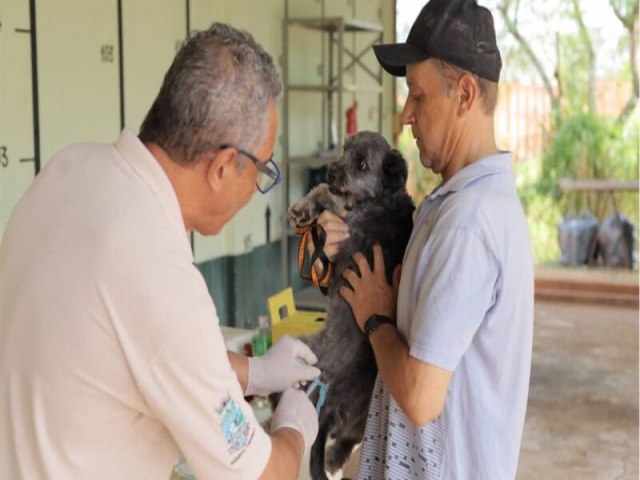 Foz do Iguaçu retoma vacinação contra a raiva em cães e gatos
