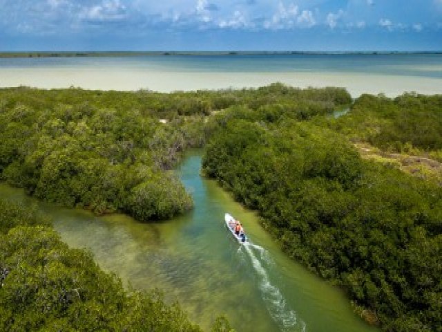 Mudanas climticas esto causando alteraes na cor dos oceanos, aponta pesquisa