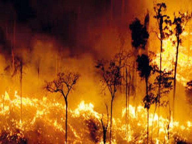 Estudo mostra que 1 a cada 4 hectares de terra pegou fogo no Brasil nos ltimos 40 anos