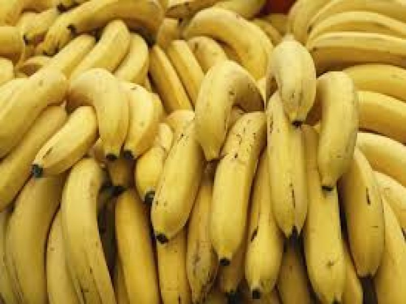 Mais de 40kg de cocana so encontrados em entregas de bananas para mercados na Frana