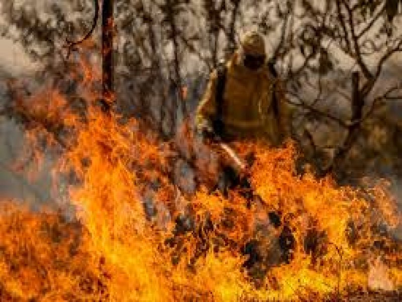 Cerrado: fogo sobe 221% em agosto; veja ranking de municpios que mais queimaram