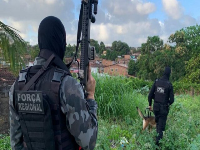 Com ajuda da cadela Athena, Polcia Militar apreende cerca de meio quilo de drogas na Capital