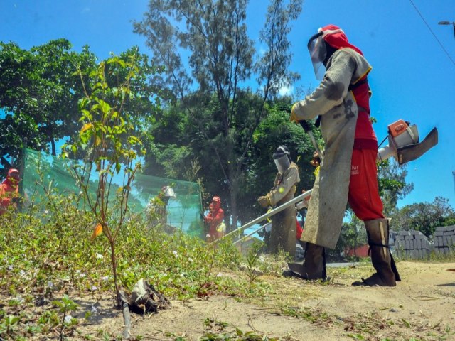 Emlur encerra ms de outubro com realizao de servios de zeladoria em 36 bairros