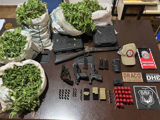 Operao policial apreende armas e localiza 200 mil ps de maconha no interior da Paraba