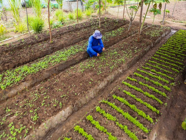 Agricultura familiar receber R$ 1 bilho em investimentos