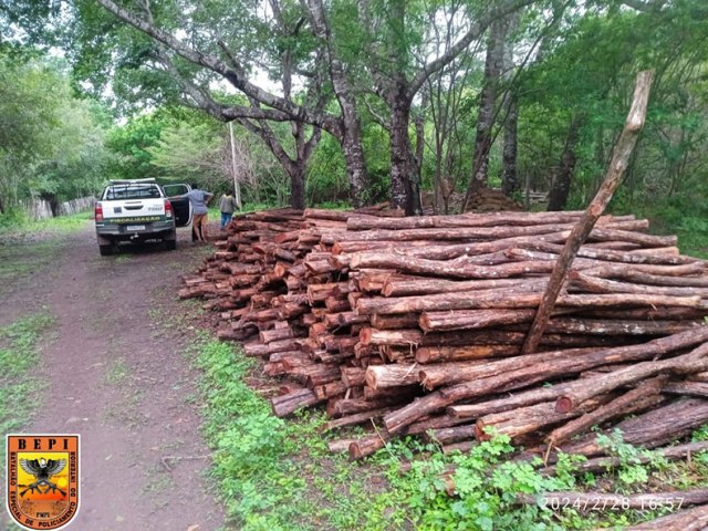 Ponto de extração ilegal de madeira é descoberto em fazenda no Piauí