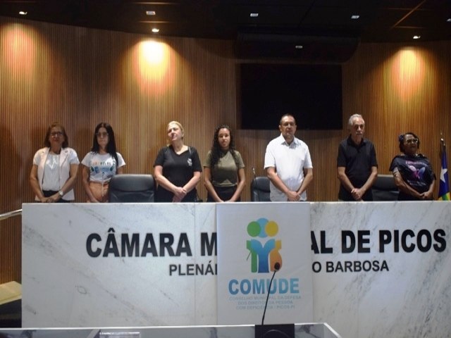 Cmara de Picos promove Audincia Pblica sobre acessibilidade