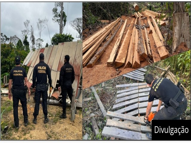 PF deflagra operao para combater crimes na Terra Indgena Igarap Lage em Rondnia