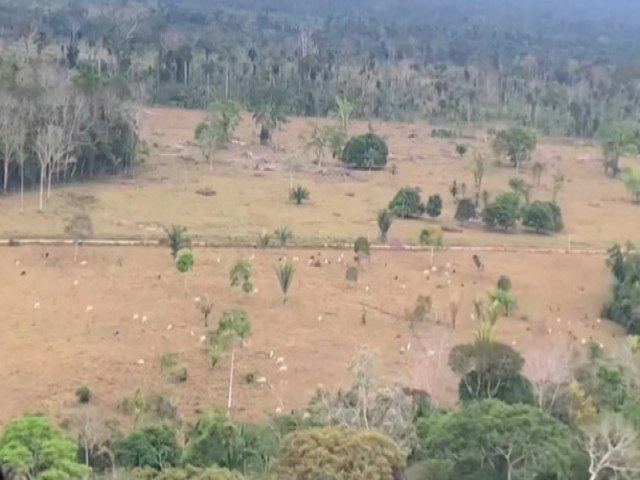 Em Rondnia, fazendeiro  condenado por uso de Parque Estadual como 'pasto' para gado por quase 10 anos