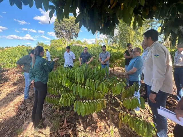 Workshop discute qualificao sustentvel do caf de Rondnia