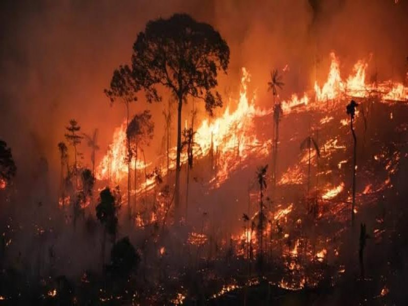 Rondnia declara situao de emergncia por incndios florestais