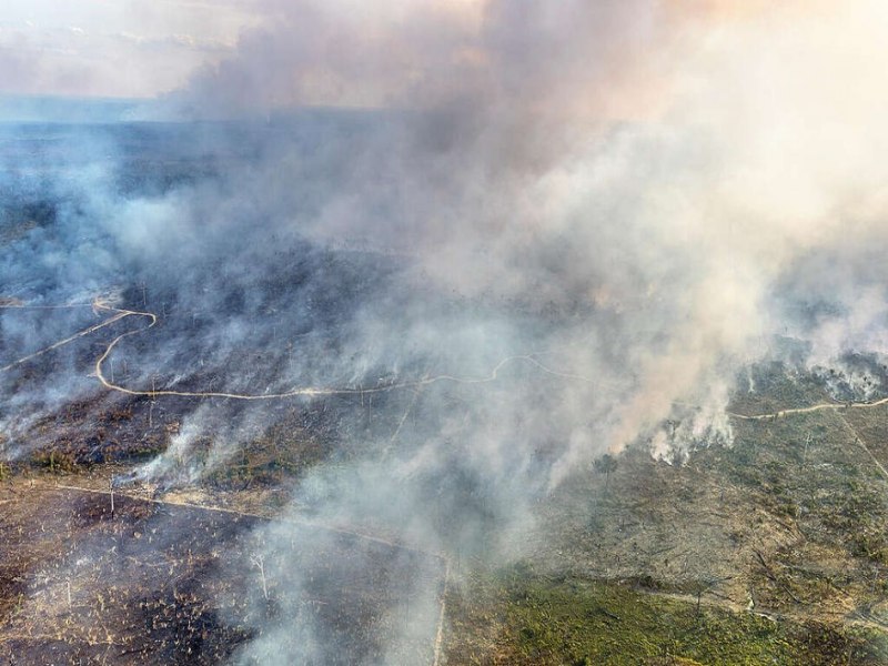 RONDNIA: De quem  a culpa pela crise climtica e o que pode ser feito para mitigar?