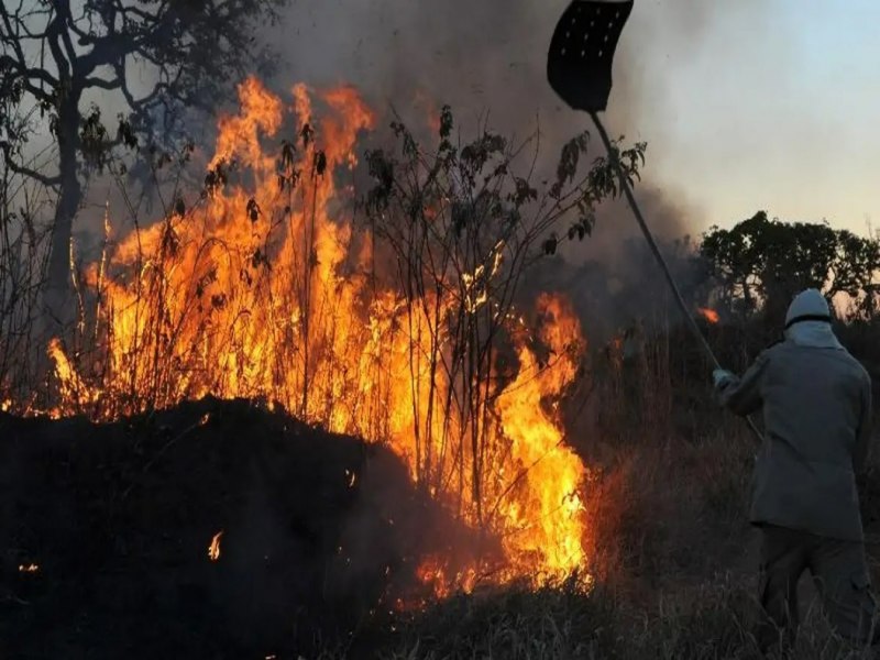 Fogo chega no territrio indgena Karipuna em Rondnia