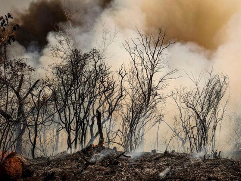 SECA: Lula anuncia criao da Autoridade Climtica em meio ao avano de queimadas