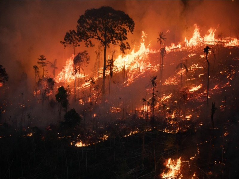 O Ministrio do Meio Ambiente reforou o foco no combate ao desmatamento e s queimadas em Rondnia 